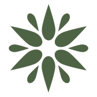 fleur verte fleur verte